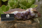 Natural Amethyst In Basalt Geode Specimen  x 1 From Zululand, South Africa - TopRock