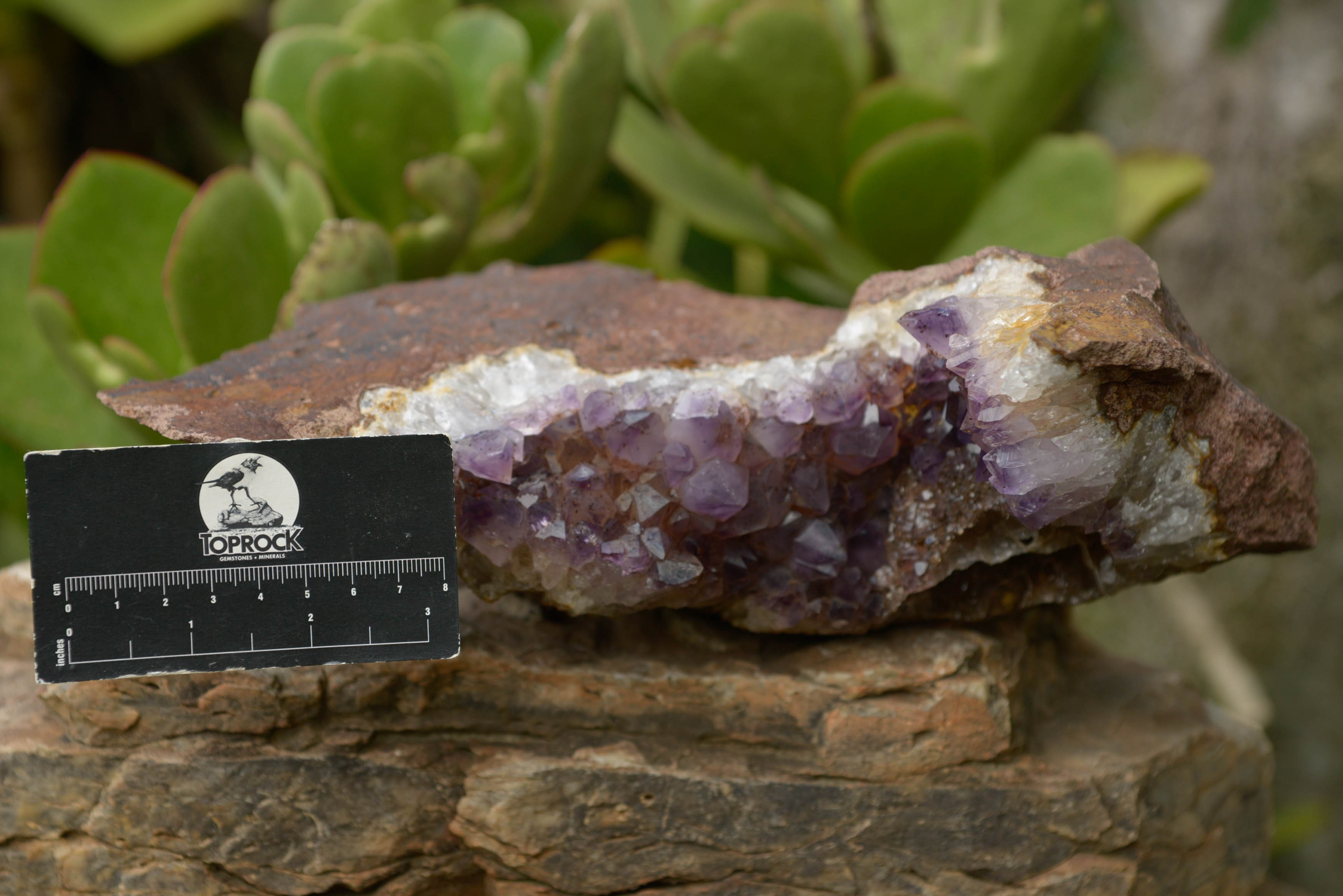 Natural Amethyst In Basalt Geode Specimen  x 1 From Zululand, South Africa - TopRock