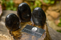 Polished Schorl Black Tourmaline Standing Free Forms  x 6 From Madagascar - TopRock