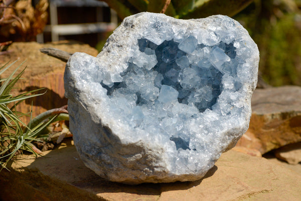Natural Blue Celestite Geode Specimen With Large Cubic Crystals  x 1 From Sakoany, Madagascar - TopRock