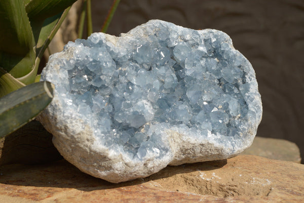 Natural Blue Celestite Specimen With Cubic Crystals  x 1 From Sakoany, Madagascar - TopRock