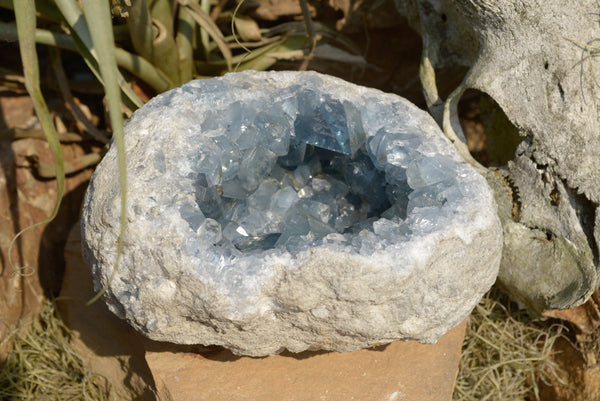 Natural Blue Celestite Geode Specimen With Large Gemmy Cubic Crystals  x 1 From Sakoany, Madagascar - TopRock