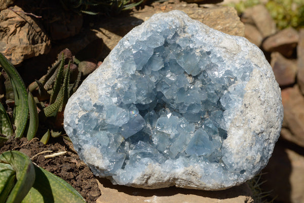 Natural Blue Celestite Geode Specimen With Cubic Crystals  x 1 From Sakoany, Madagascar - TopRock