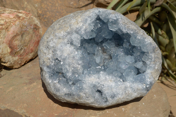 Natural Crystalline Blue Celestite Geode Specimen  x 1 From Sakoany, Madagascar - TopRock
