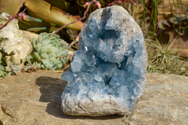 Natural Standing Blue Celestite Specimen With Large Cubic Crystals  x 1 From Sakoany, Madagascar - TopRock