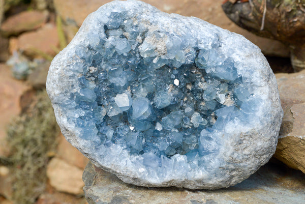 Natural Celestite Geode Specimen With Gemmy Cubic Crystals  x 1 From Sakoany, Madagascar - TopRock