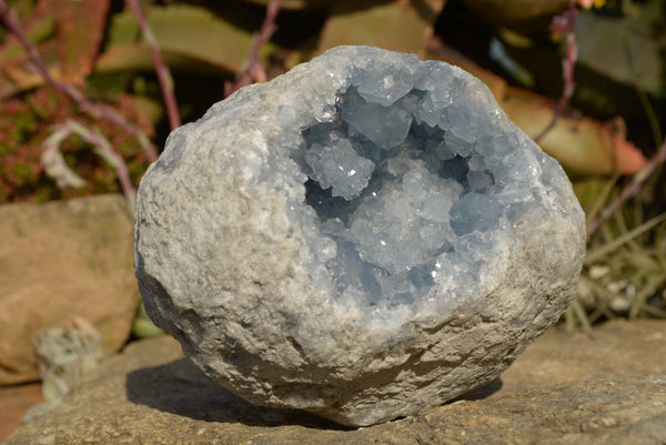 Natural Blue Celestite Geode Specimen With Sugar Crystals  x 1 From Sakoany, Madagascar - TopRock