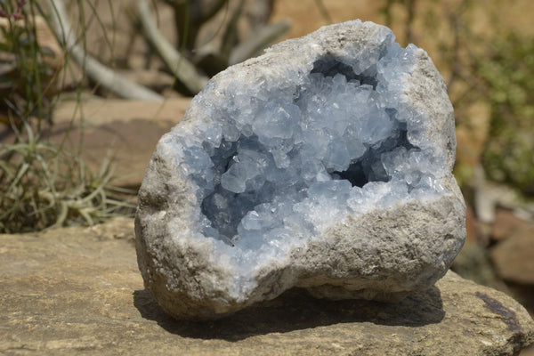 Natural Blue Celestite Geode With Clear Cubic Crystals  x 1 From Sakoany, Madagascar - TopRock
