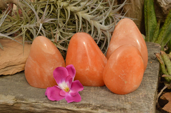 Polished Orange Twist Calcite Standing Free Forms  x 4 From Madagascar - TopRock
