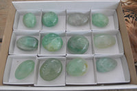 Polished Emerald Fluorite Palm Stones  x 12 From Mandrosonoro, Madagascar