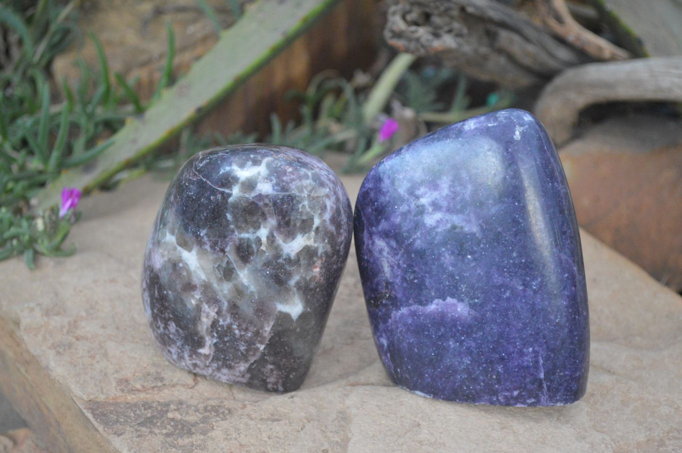 Polished Lepidolite Standing Free Forms  x 2 From Zimbabwe - Toprock Gemstones and Minerals 