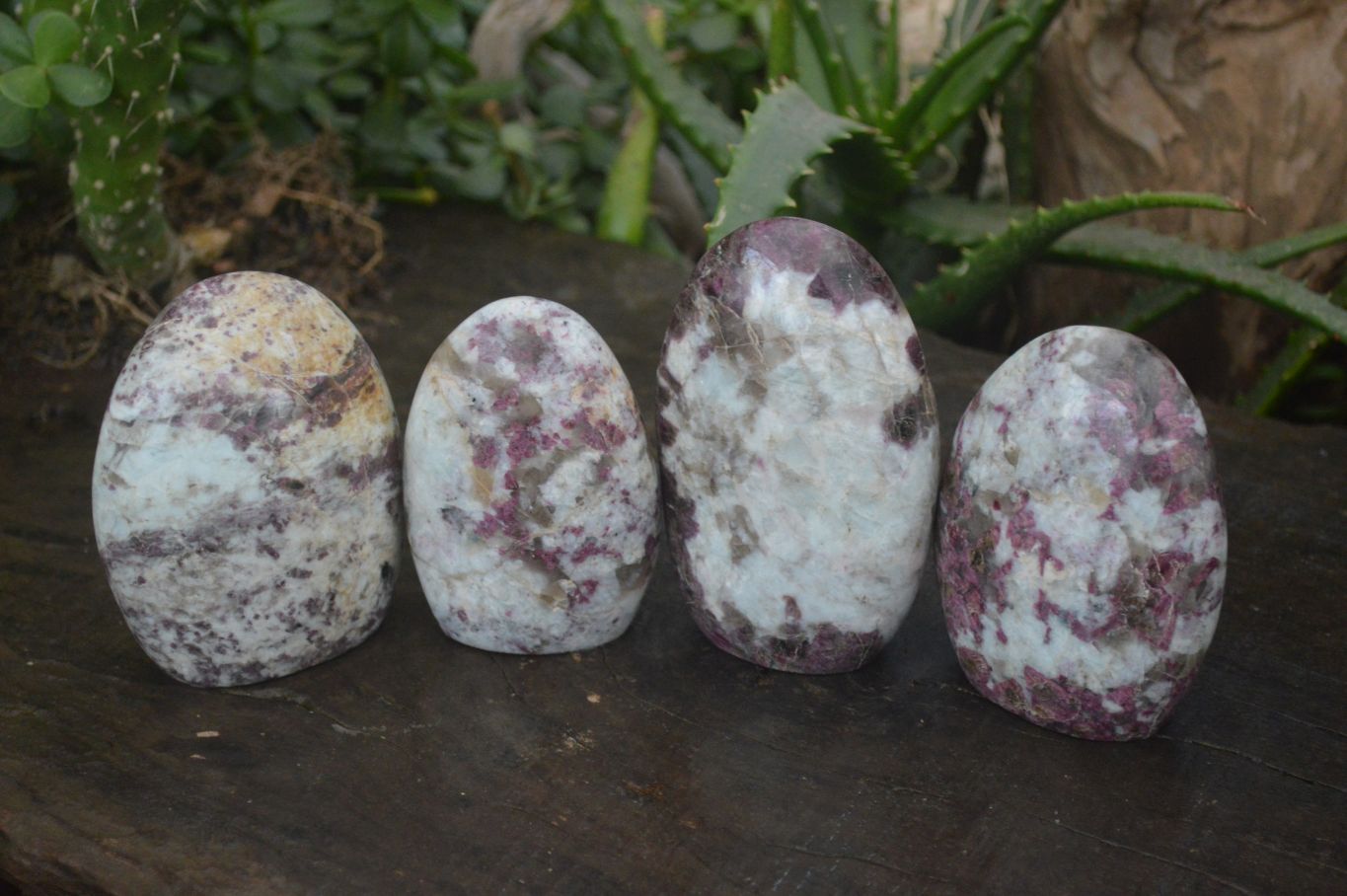 Polished Rubellite Pink Tourmaline Matrix Standing Free Forms x 4 From Madagascar - Toprock Gemstones and Minerals 