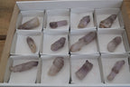Natural Single Window Amethyst Crystals  x 12 From Chiredzi, Zimbabwe - Toprock Gemstones and Minerals 
