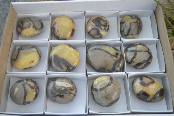 Polished Septerye (Calcite & Aragonite) Palm Stones  x 6 From Mahajanga, Madagascar - Toprock Gemstones and Minerals 