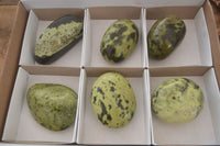 Polished  Spotted Leopard Stone Gallets  x 6 From Zimbabwe - Toprock Gemstones and Minerals 