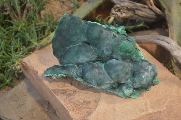 Natural Large Botryoidal Malachite Specimen  x 1 From Kolwezi, Congo - Toprock Gemstones and Minerals 