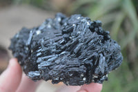 Natural Schorl Black Tourmaline Specimens x 2 From Erongo, Namibia - Toprock Gemstones and Minerals 