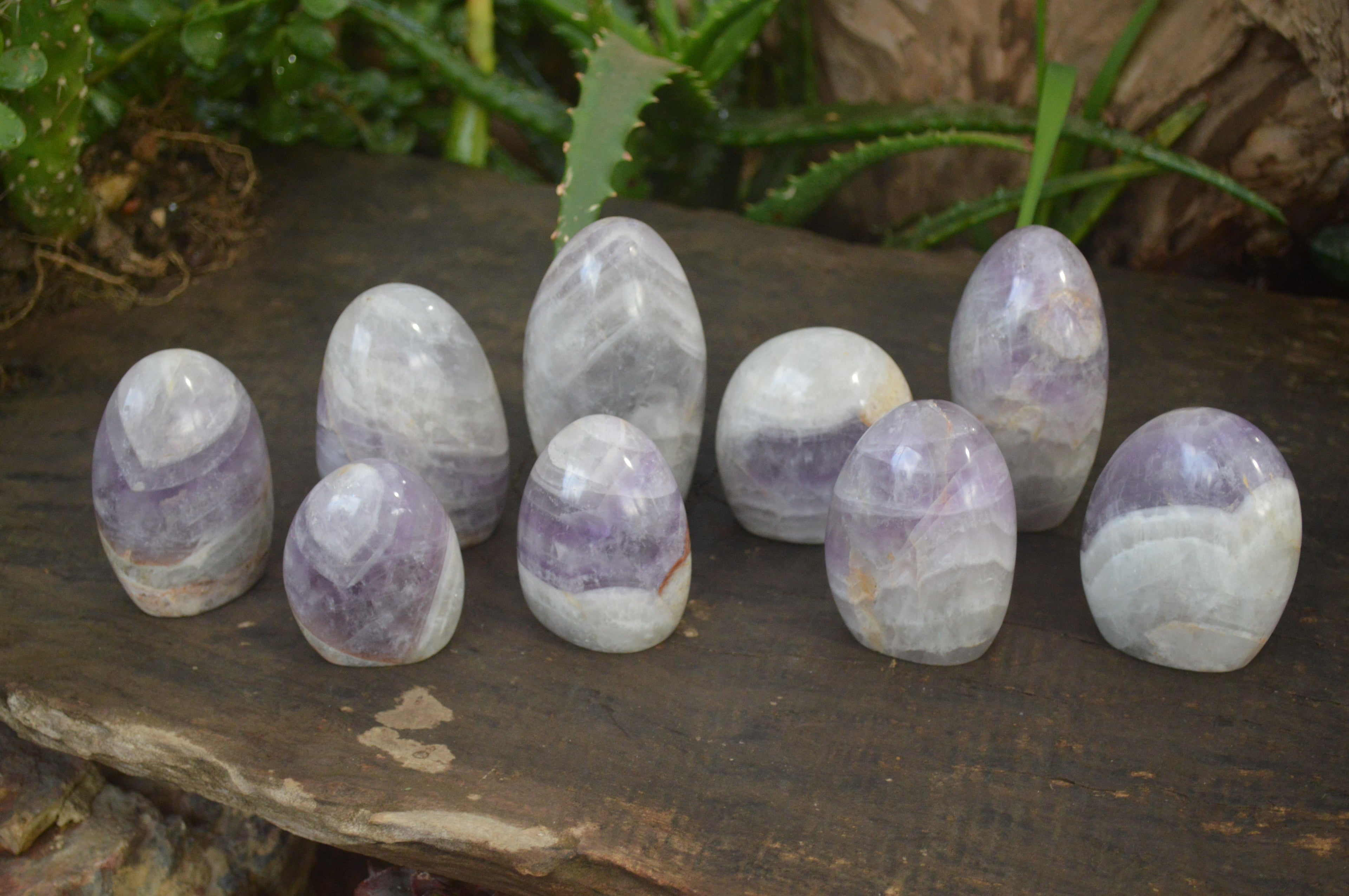 Polished Dream Amethyst Standing Free Forms x 12 From Ambatondrazaka, Madagascar - Toprock Gemstones and Minerals 
