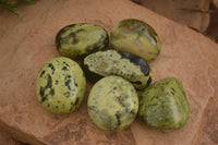 Polished  Spotted Leopard Stone Gallets  x 6 From Zimbabwe - Toprock Gemstones and Minerals 
