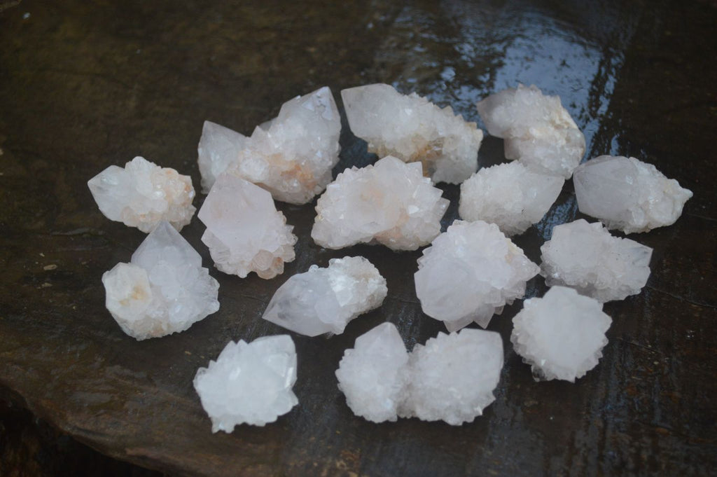 Natural Cactus Flower Spirit Quartz Clusters  x 20 From Boekenhouthoek, South Africa - Toprock Gemstones and Minerals 
