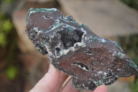 Natural Drusy Coated Ball  Malachite On Dolomite Specimens x 2 From Likasi, Congo - Toprock Gemstones and Minerals 