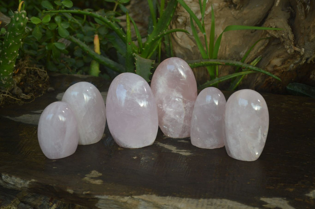 Polished Pink Rose Quartz Standing Free Forms x 6 From Antsirabe, Madagascar - Toprock Gemstones and Minerals 