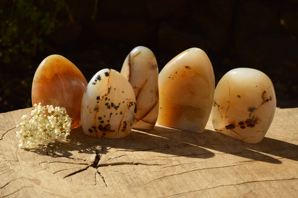 Polished Dendritic Agate Standing Free Forms  x 5 From Moralambo, Madagascar - TopRock