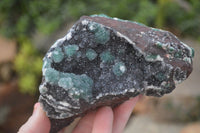 Natural Drusy Coated Ball  Malachite On Dolomite Specimens x 2 From Likasi, Congo - Toprock Gemstones and Minerals 