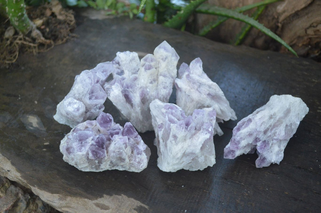 Natural Sugar Amethyst Clusters  x 6 From Solwezi, Zambia - Toprock Gemstones and Minerals 