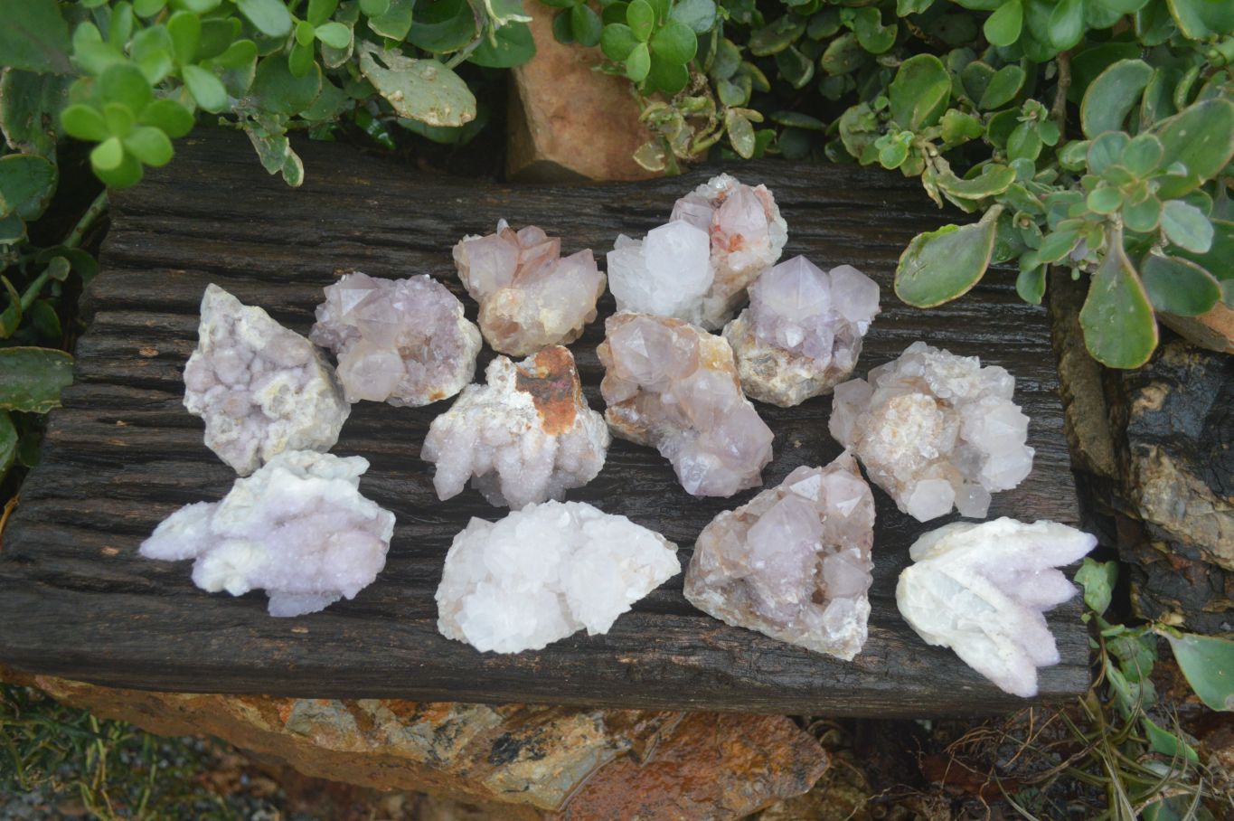 Natural Mixed Spirit Quartz Clusters  x 12 From Boekenhouthoek, South Africa - Toprock Gemstones and Minerals 