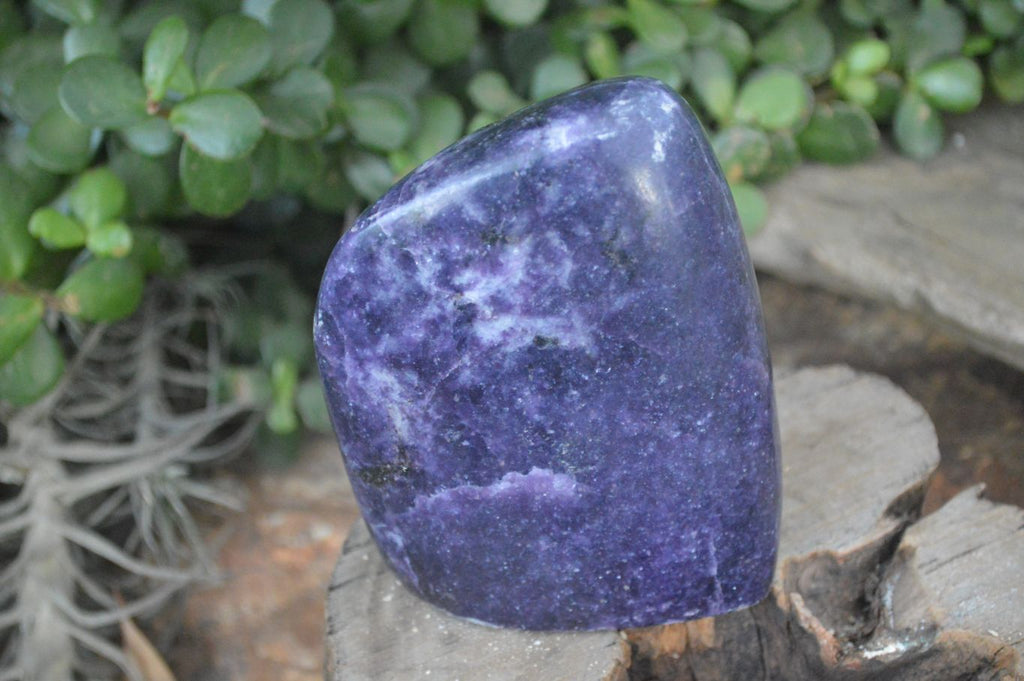 Polished Lepidolite Standing Free Forms  x 2 From Zimbabwe - Toprock Gemstones and Minerals 