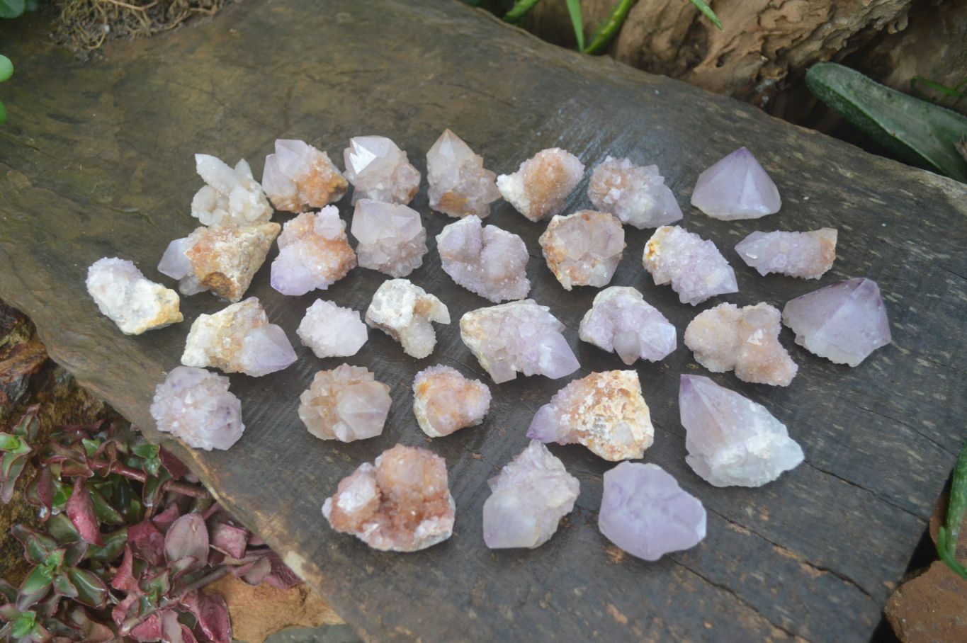 Natural Rare Spirit Ametrine Quartz Crystals  x 35 From Boekenhouthoek, South Africa - Toprock Gemstones and Minerals 