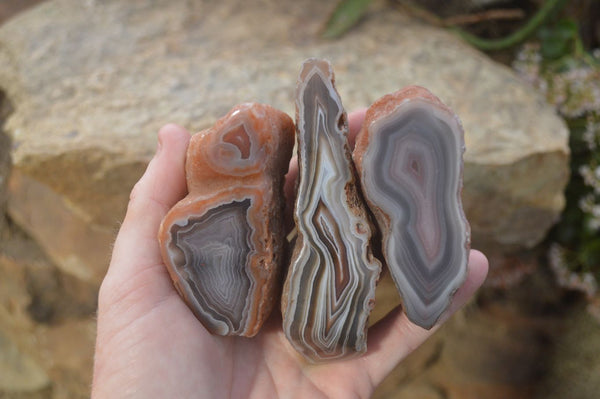 Polished River Agate Nodules  x 6 From Sashe River, Zimbabwe