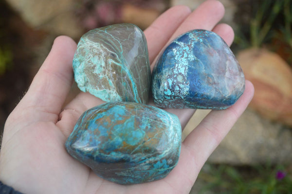 Polished Blue Shattuckite Free Forms  x 12 From Kaokoveld, Namibia - Toprock Gemstones and Minerals 