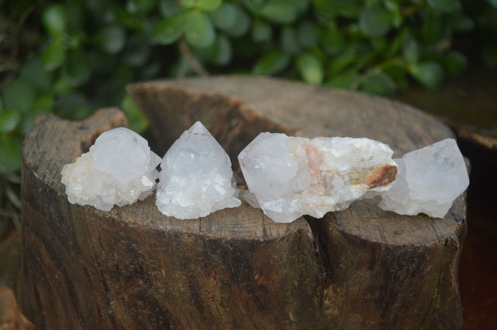 Natural Cactus Flower Spirit Quartz Clusters  x 20 From Boekenhouthoek, South Africa - Toprock Gemstones and Minerals 