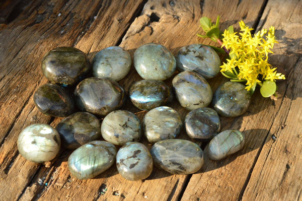 Polished Flashy Blue Labradorite Palm Stones  x 20 From Tulear, Madagascar - TopRock