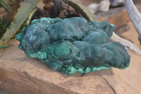 Natural Large Botryoidal Malachite Specimen  x 1 From Kolwezi, Congo - Toprock Gemstones and Minerals 