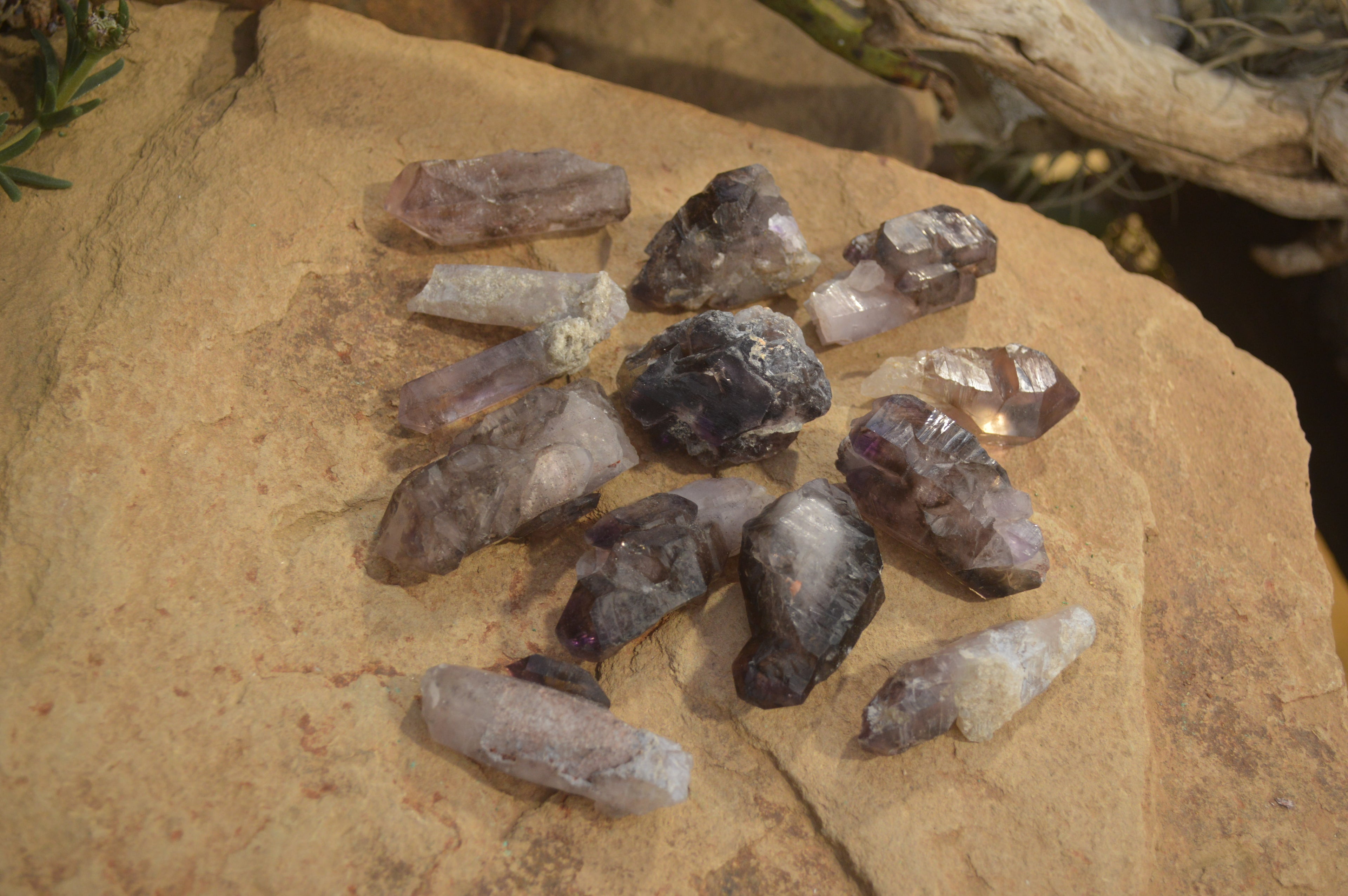 Natural Mini Amethyst Crystals  x 12 From Chiredzi, Zimbabwe - Toprock Gemstones and Minerals 