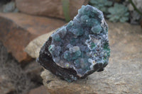 Natural Ball Malachite On Drusy Malachite  x 1 From Likasi, Congo