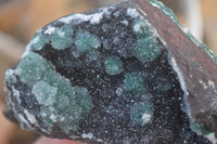 Natural Drusy Coated Ball  Malachite On Dolomite Specimens x 2 From Likasi, Congo - Toprock Gemstones and Minerals 