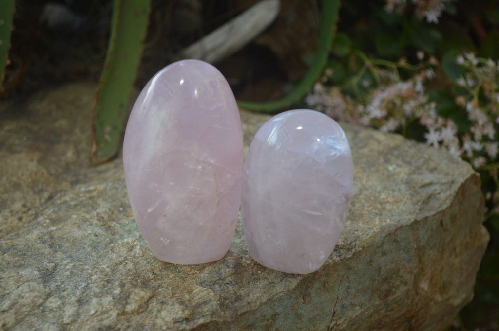 Polished Pink Rose Quartz Standing Free Forms x 6 From Antsirabe, Madagascar - Toprock Gemstones and Minerals 