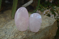 Polished Pink Rose Quartz Standing Free Forms x 6 From Antsirabe, Madagascar - Toprock Gemstones and Minerals 