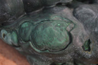 Natural Large Botryoidal Malachite Specimen  x 1 From Kolwezi, Congo - Toprock Gemstones and Minerals 