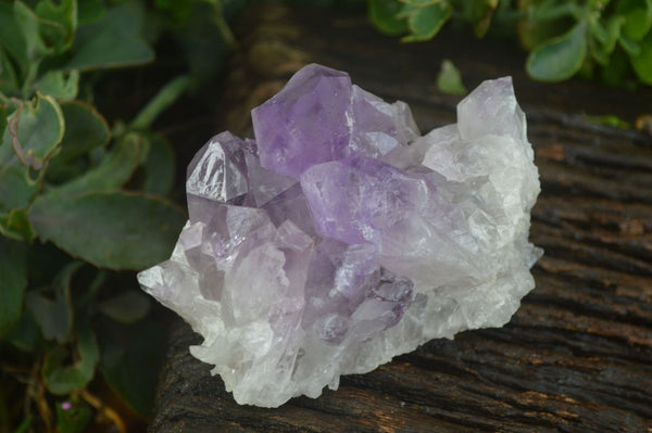 Natural Jacaranda Amethyst Clusters  x 3 From Mumbwa, Zambia - Toprock Gemstones and Minerals 