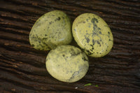 Polished  Spotted Leopard Stone Gallets  x 6 From Zimbabwe - Toprock Gemstones and Minerals 