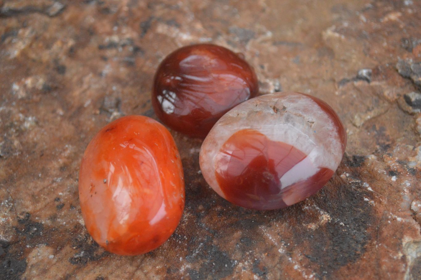 Polished Mixed Selection Of Retail Items  x 4 From Southern Africa - Toprock Gemstones and Minerals 