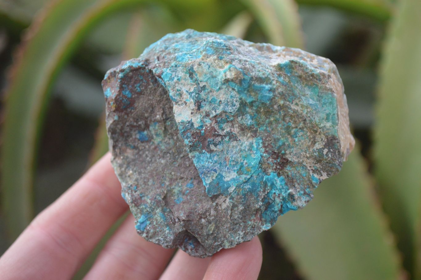 Natural Rough Shattuckite Cobbed Specimens x 12 From Kaokoveld, Namibia - Toprock Gemstones and Minerals 