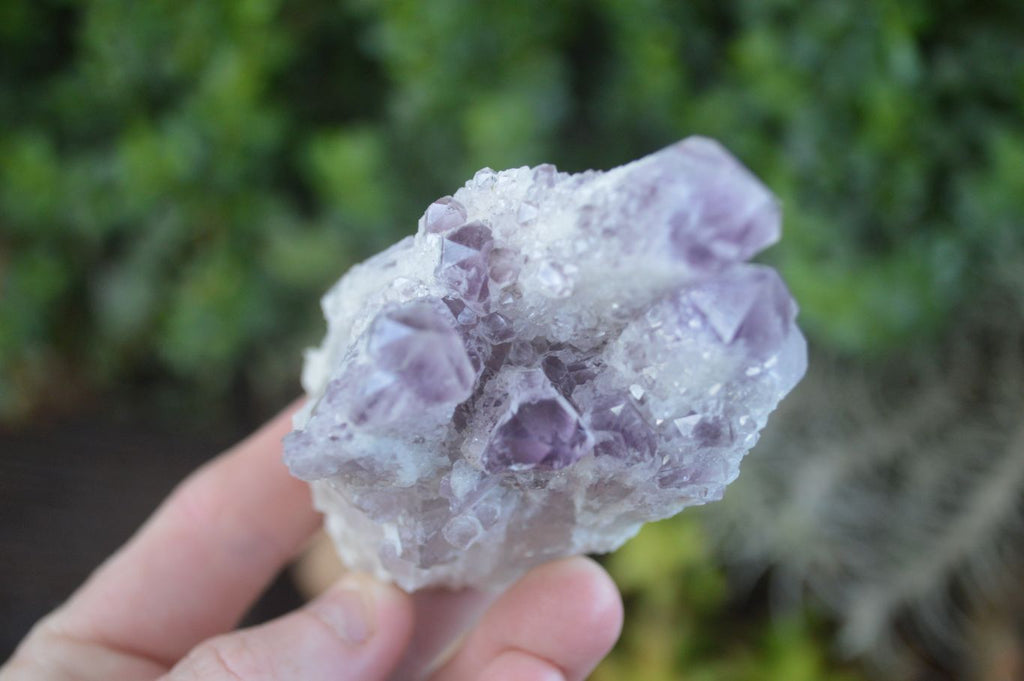 Natural Sugar Amethyst Clusters  x 6 From Solwezi, Zambia - Toprock Gemstones and Minerals 