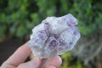 Natural Sugar Amethyst Clusters  x 6 From Solwezi, Zambia - Toprock Gemstones and Minerals 