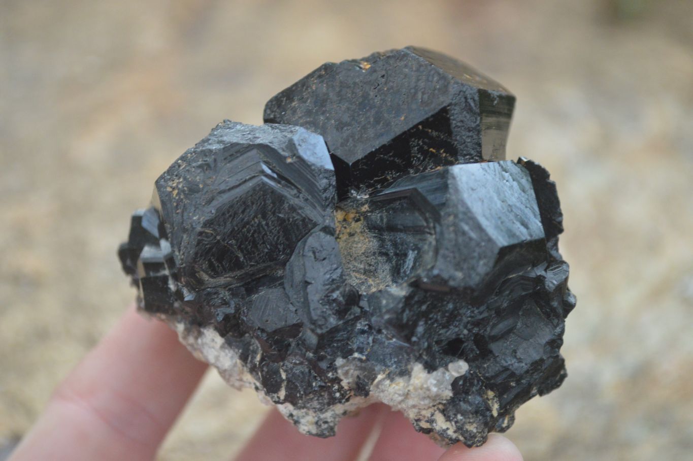 Natural Schorl Black Tourmaline Specimens  x 4 From Erongo, Namibia - Toprock Gemstones and Minerals 